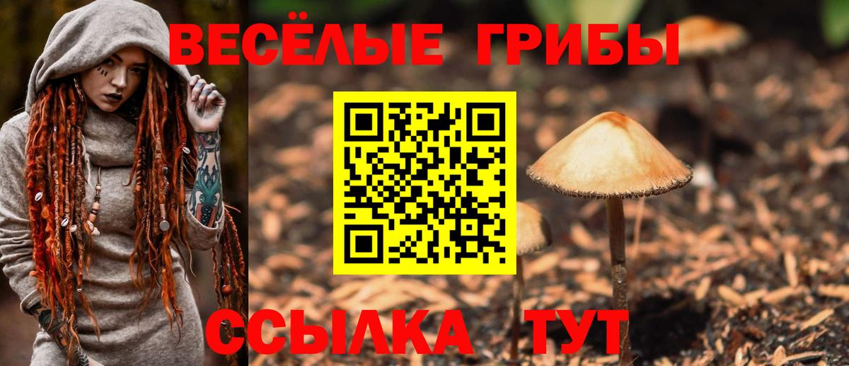 Галлюциногенные грибы GOLDEN TEACHER  Псилоцибиновые грибы MAGIC MUSHROOMS  Вход с VPN  Избербаш 